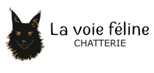 Logo Chatterie La voie Féline, élevage de Maine Coon en Occitanie